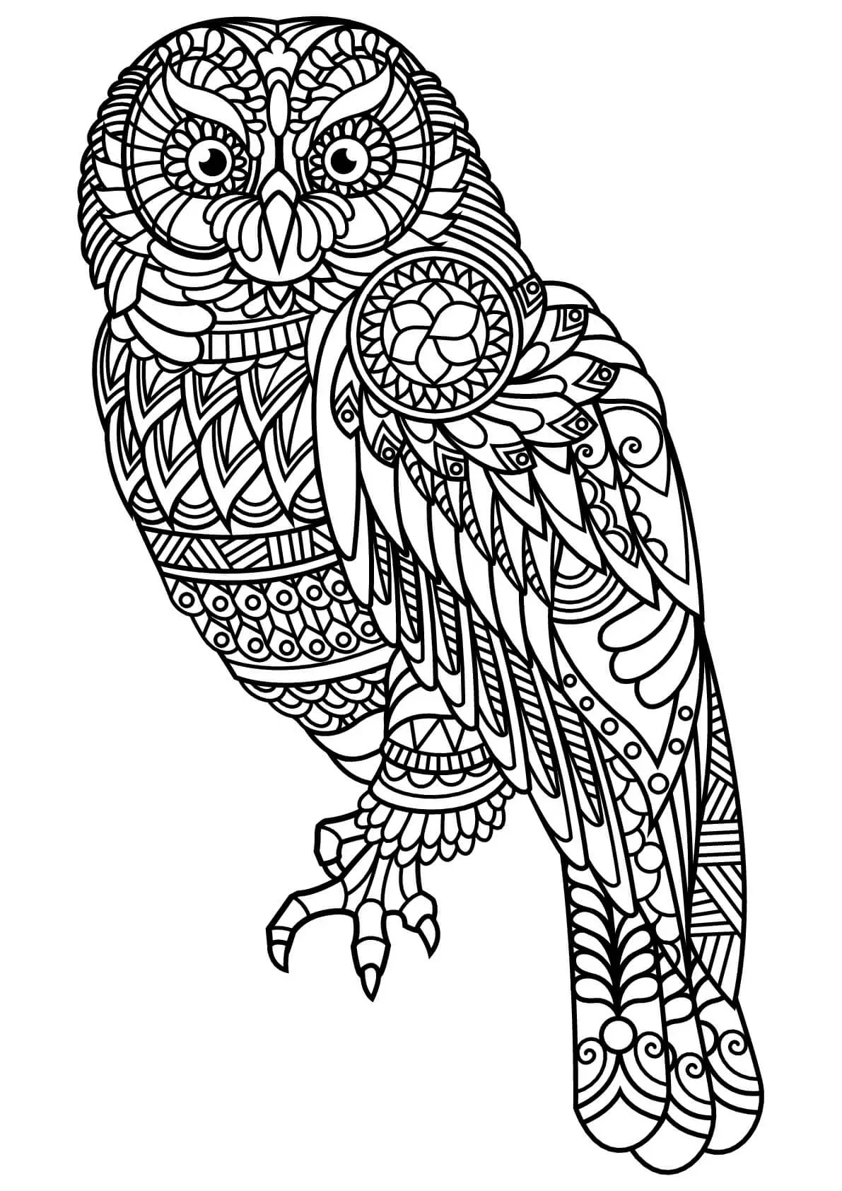 Disegno di Mandala di civette da stampare