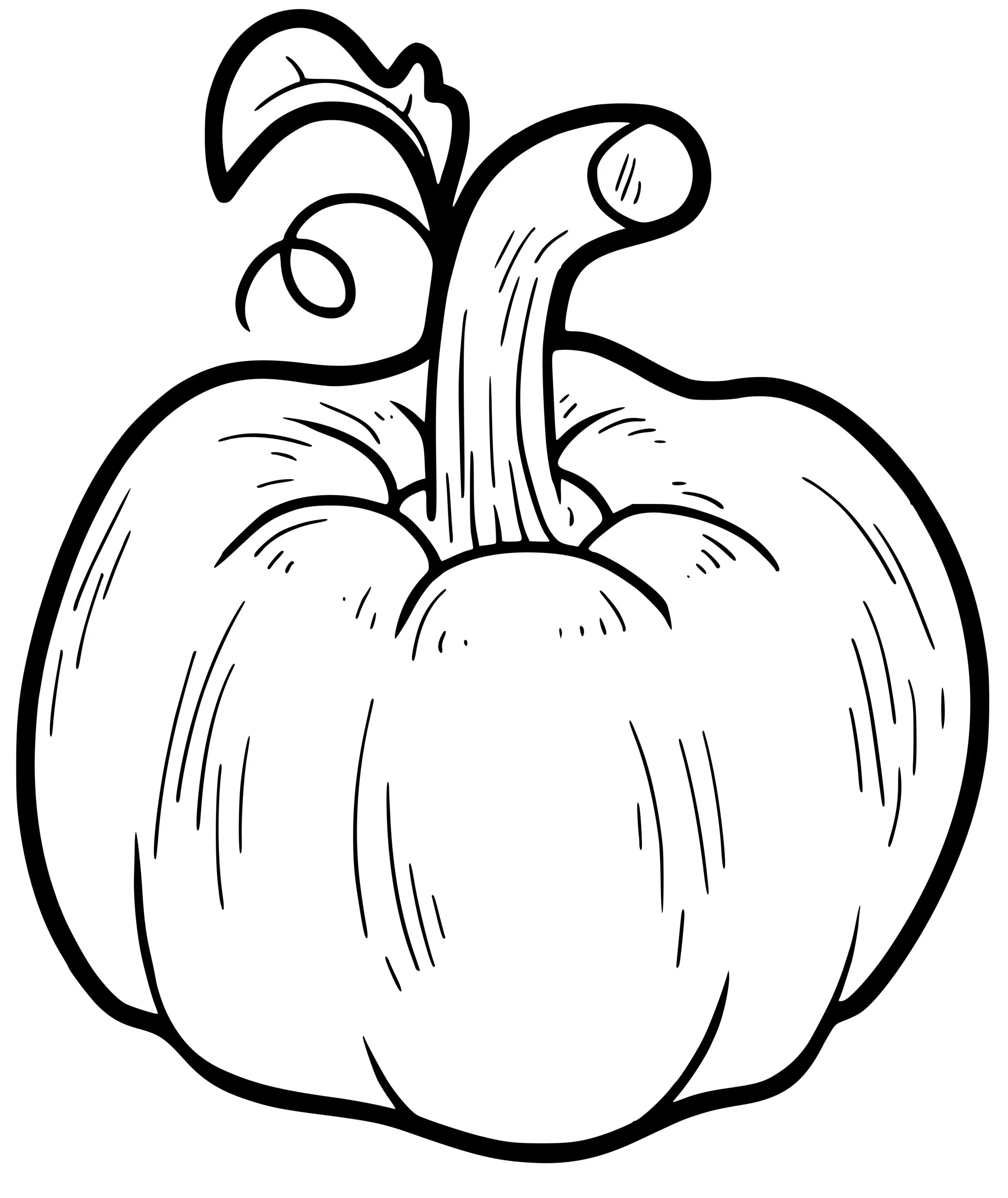 Coloriage Citrouille Veritable Fruit De La Plante Annuelle - Halloween citrouille à imprimer
