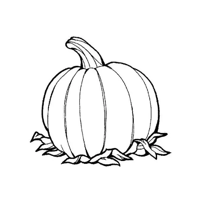 Coloriage Citrouille - Citrouille à imprimer