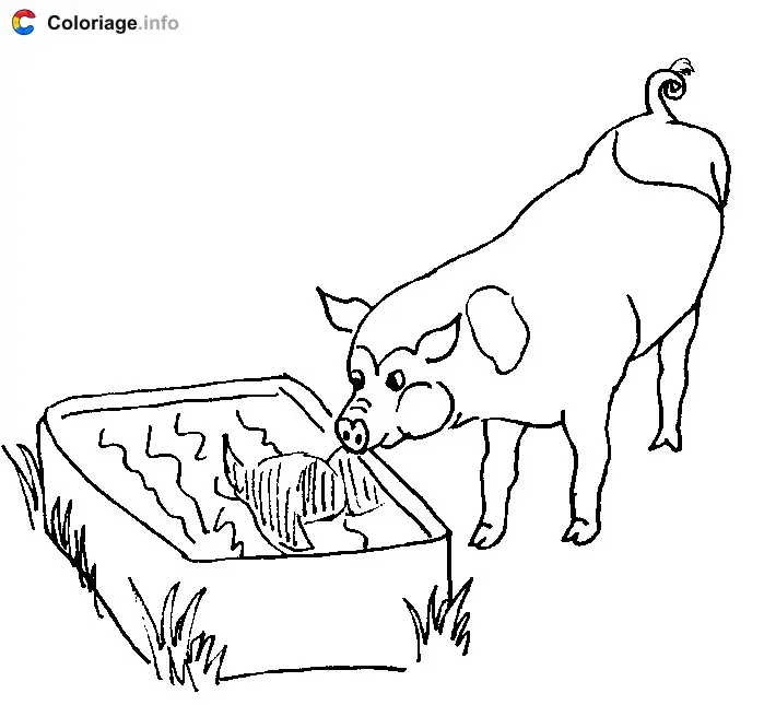 Coloriage Cochon - Animaux de la ferme à imprimer