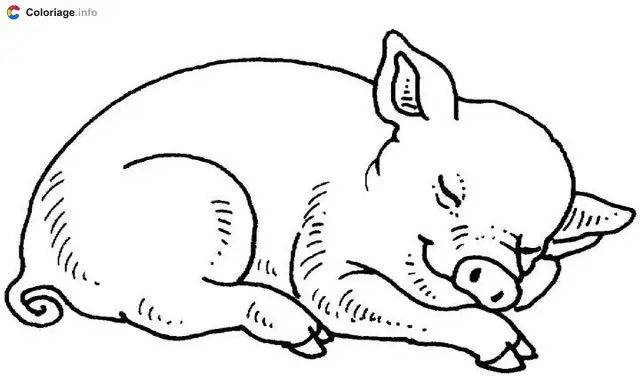 Coloriage Cochon qui dort - Cochon à imprimer