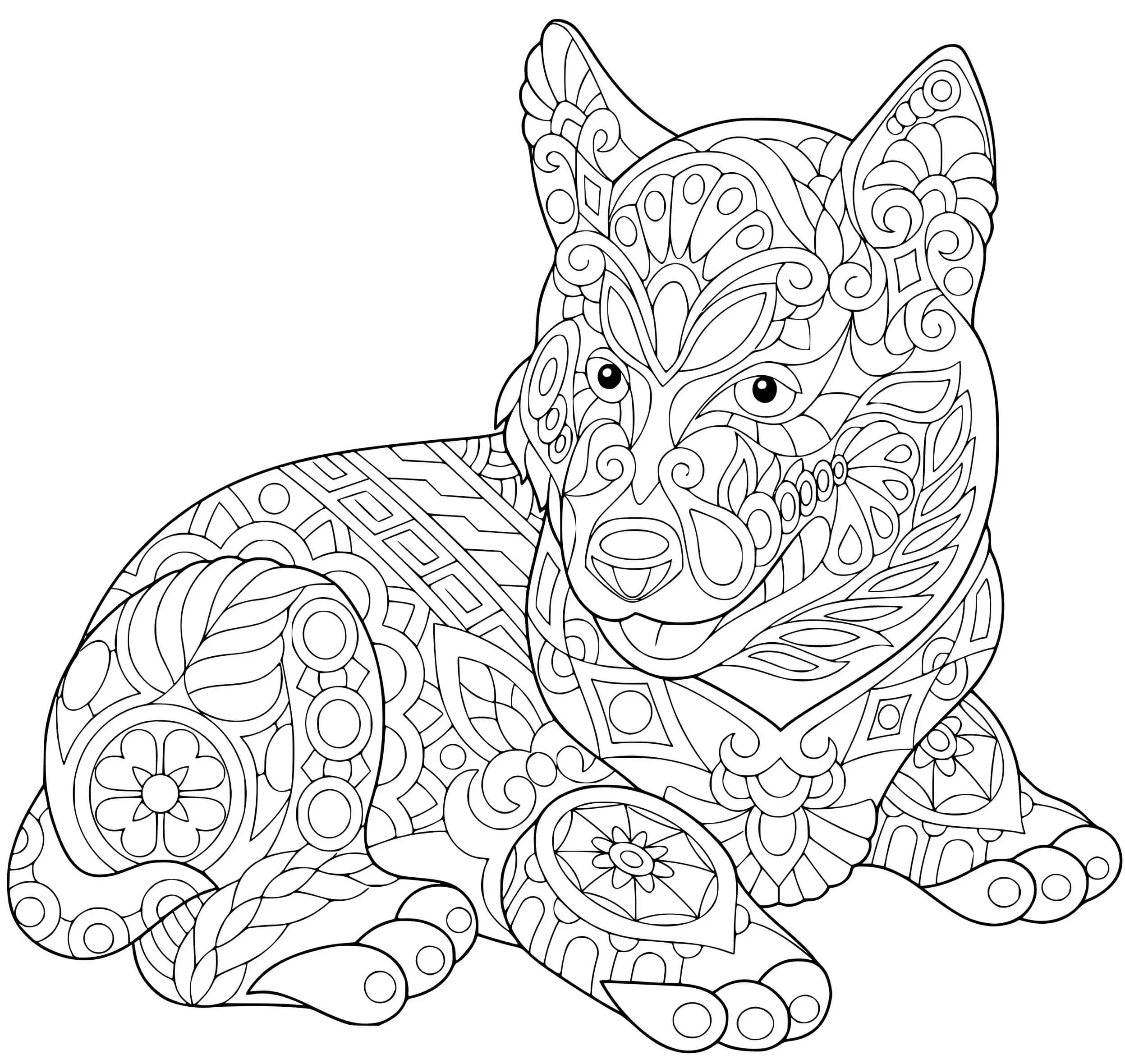 Coloriage Cocker Spaniel Anglais Chien Retriever - Chien à imprimer