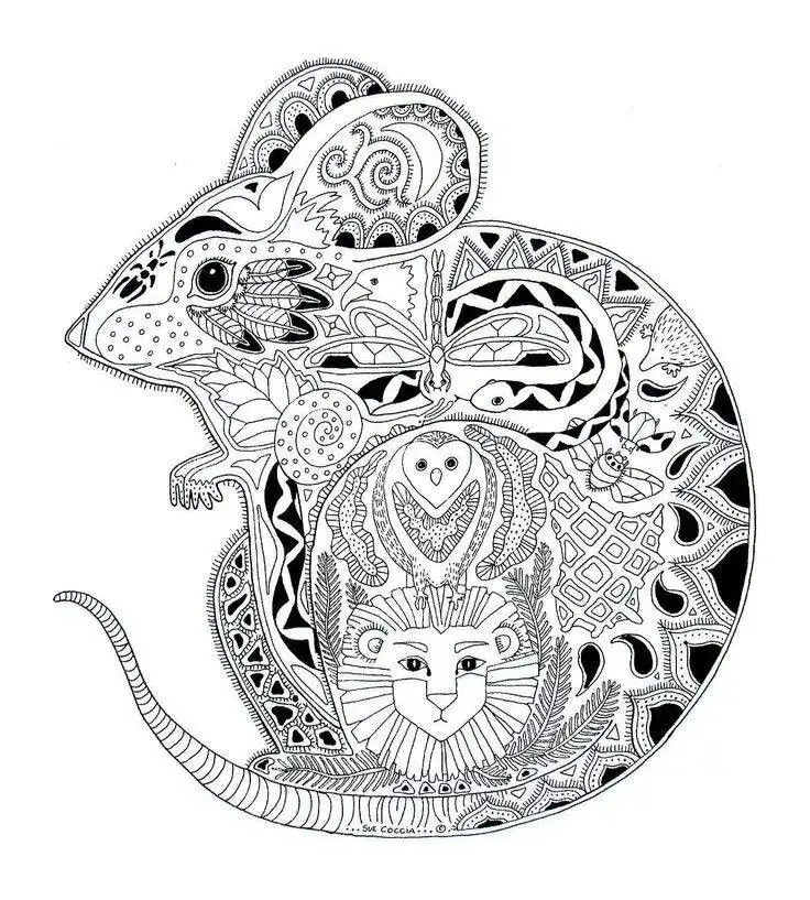 Coloriage Adulte Animaux Souris - Souris à imprimer