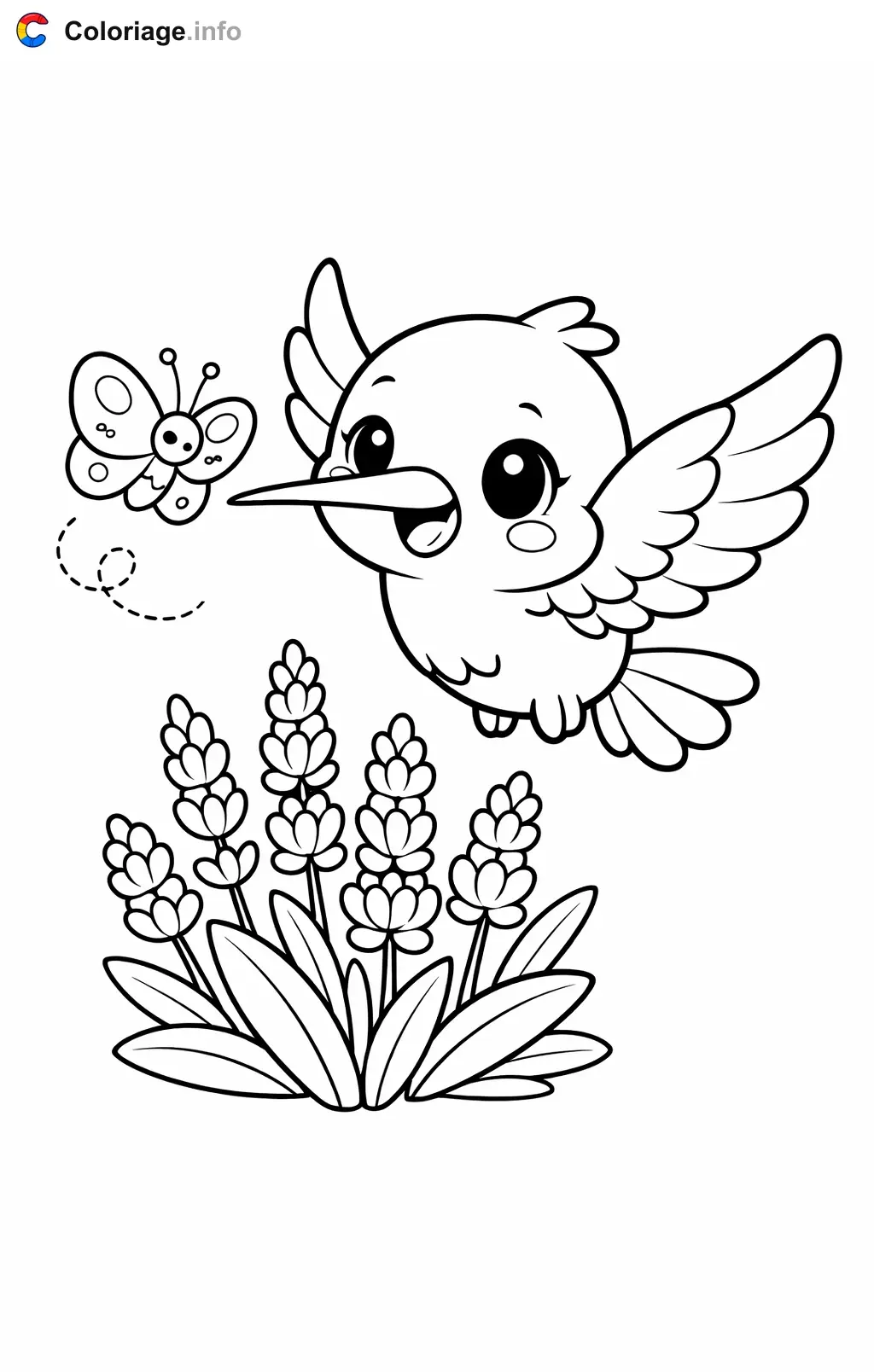 Coloriage Colibri