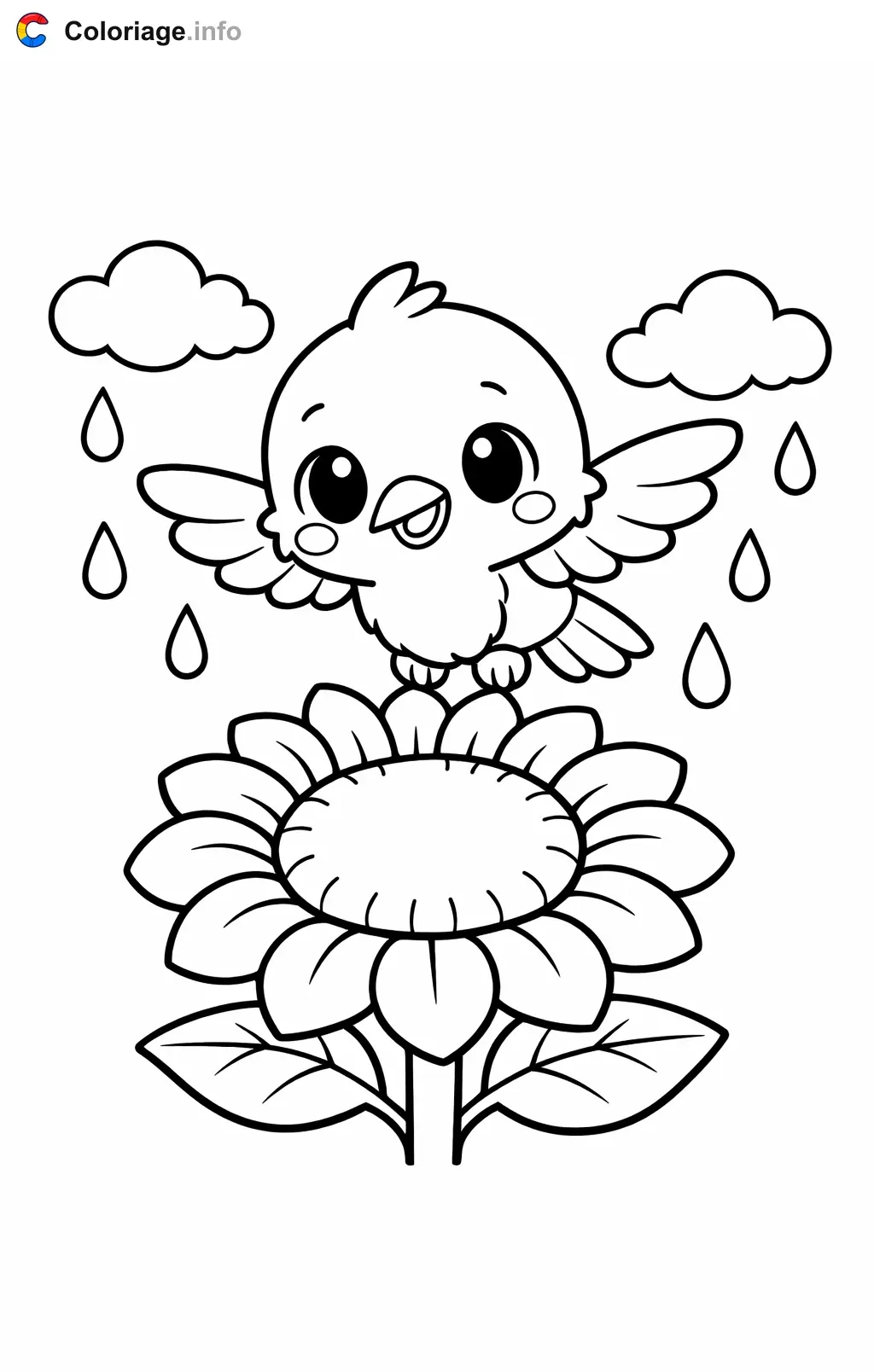 Coloriage Colibri sous la pluie - Colibri à imprimer