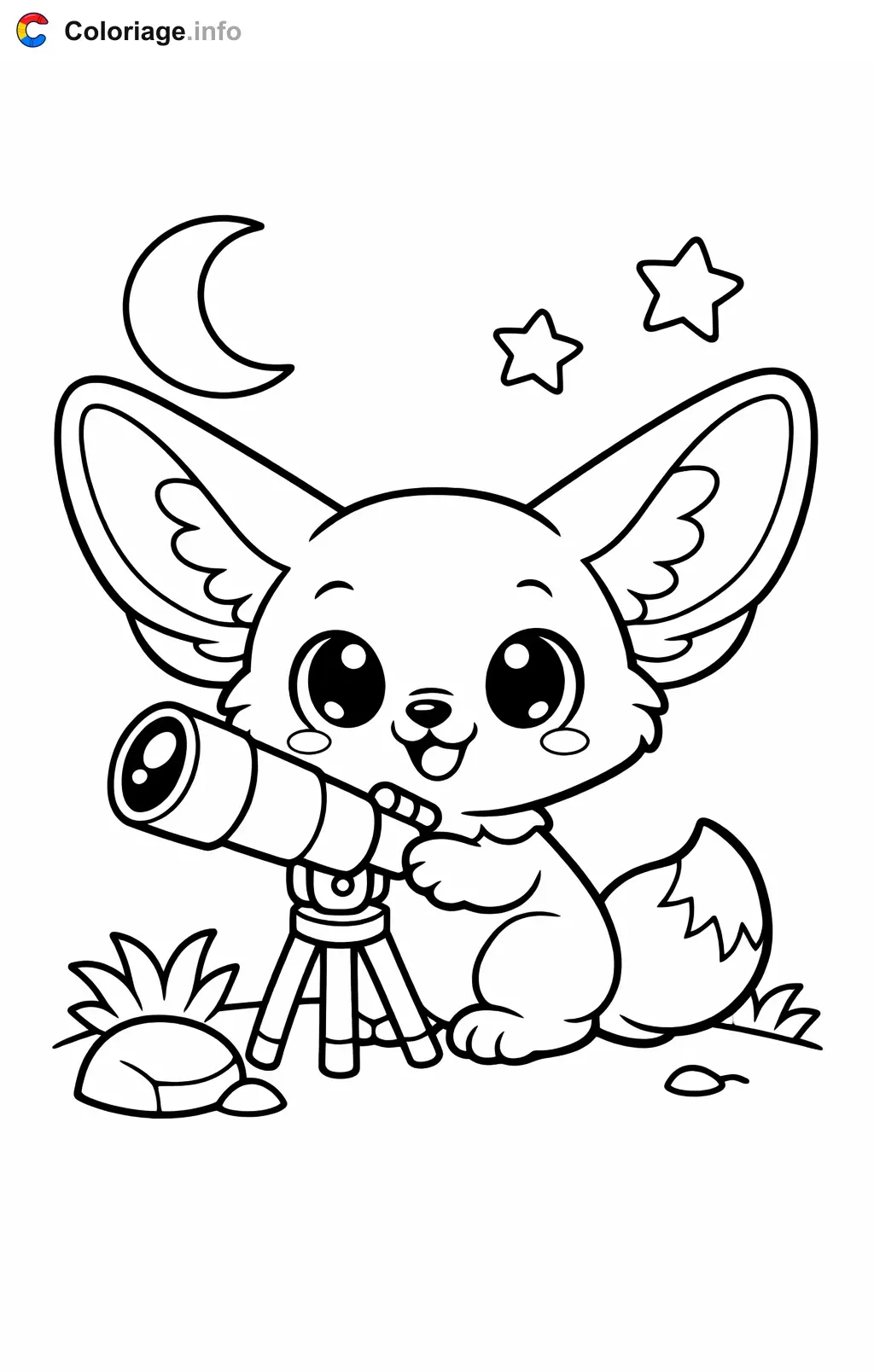 Coloriage Fennec qui observe les étoiles - Fennec à imprimer