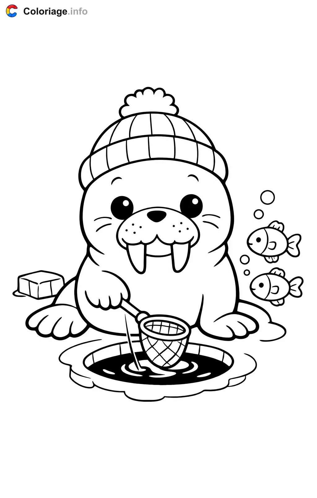 Coloriage Morse qui pêche dans la banquise - Morse à imprimer