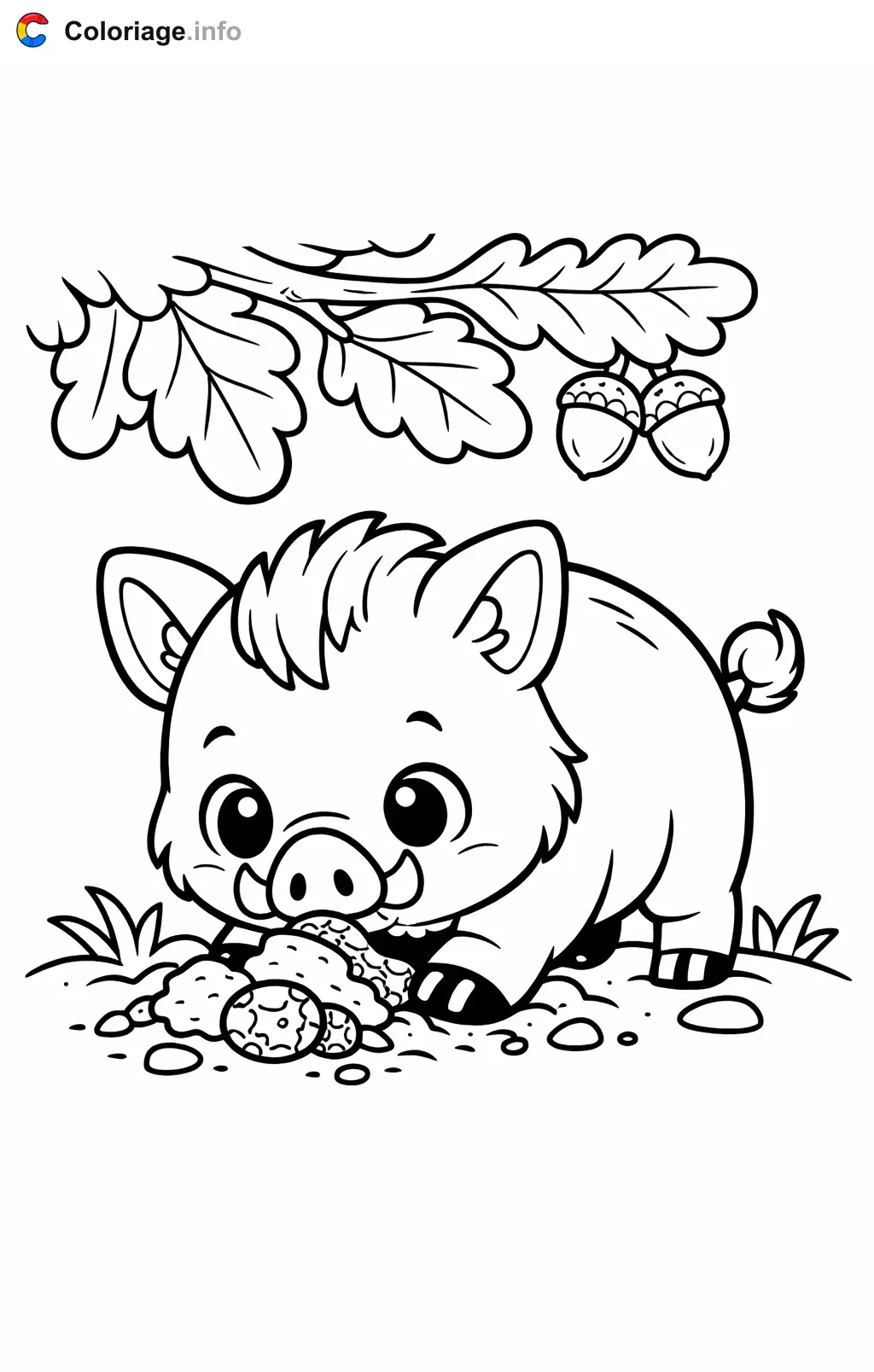 Coloriage Sanglier qui cherche des truffes - Sanglier à imprimer