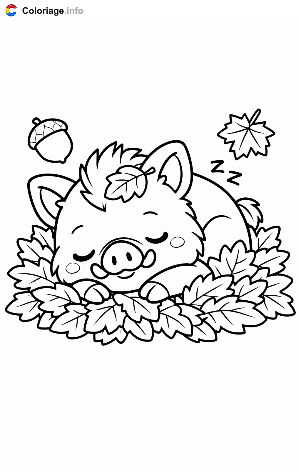 Coloriage Sanglier qui dort dans les feuilles - Sanglier à imprimer