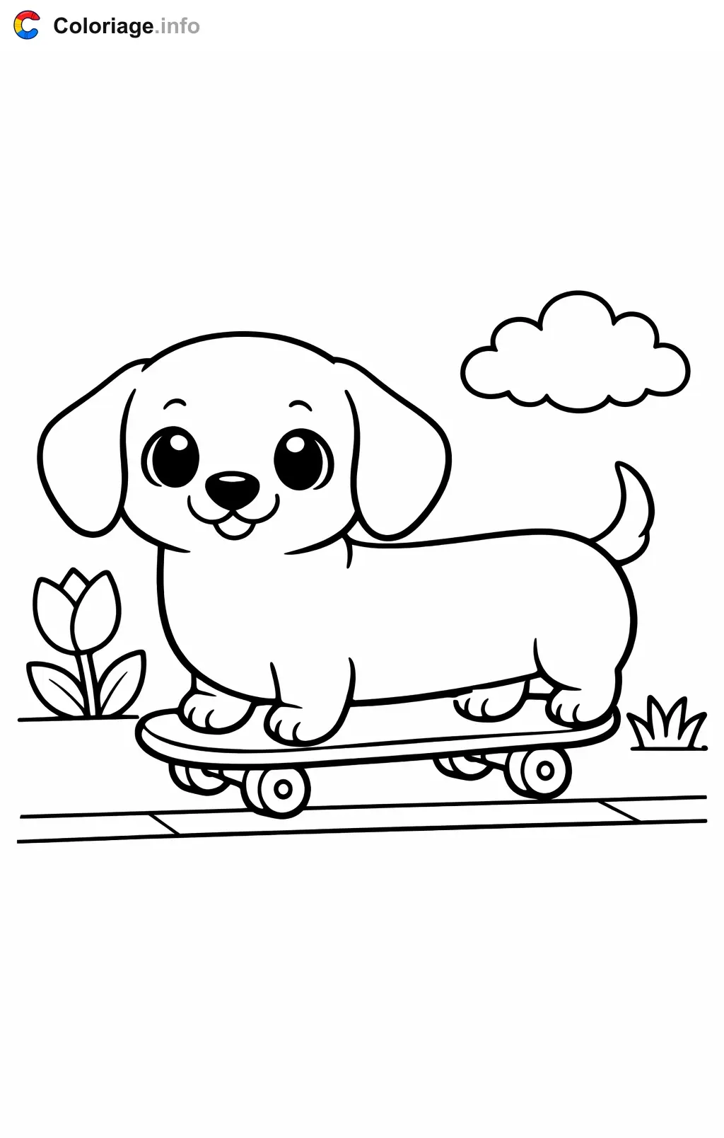 Coloriage Teckel qui fait du skateboard - Teckel à imprimer
