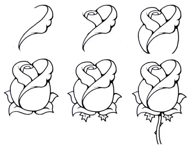 Coloriage Comment Dessiner Une Rose Dessin Facile - Dessin facile à imprimer