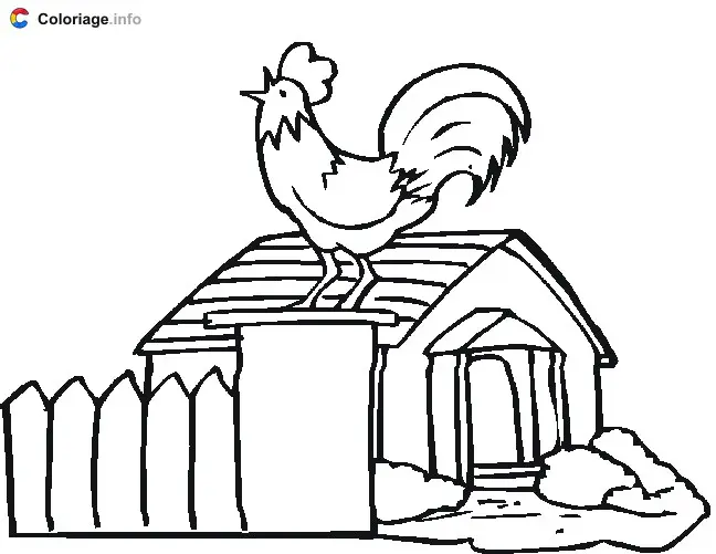Coloriage Coq - Animaux de la ferme à imprimer