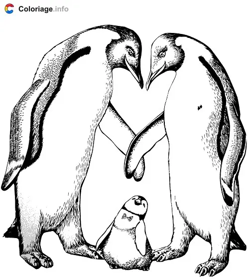 Coloriage Couple pingouin avec bébé - Pingouin à imprimer
