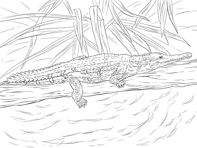 Coloriage Crocodile De Johnston - Crocodile à imprimer
