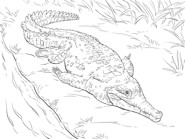 Coloriage Crocodile De Lorenoque - Crocodile à imprimer