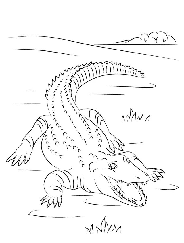 Coloriage Crocodile Du Nil Mignon - Crocodile à imprimer