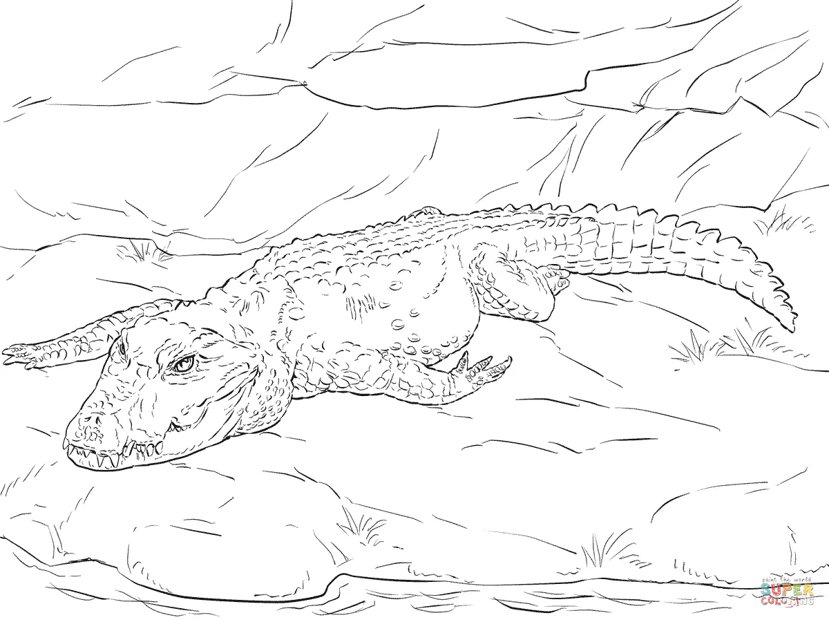 Dwarf Crocodile coloring page to print