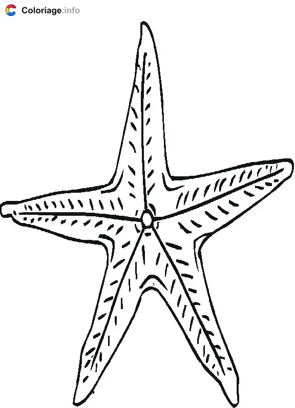 Starfish Friends coloring page to print