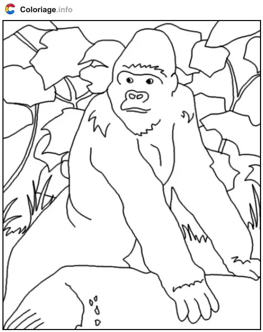 Gorilla coloring page to print