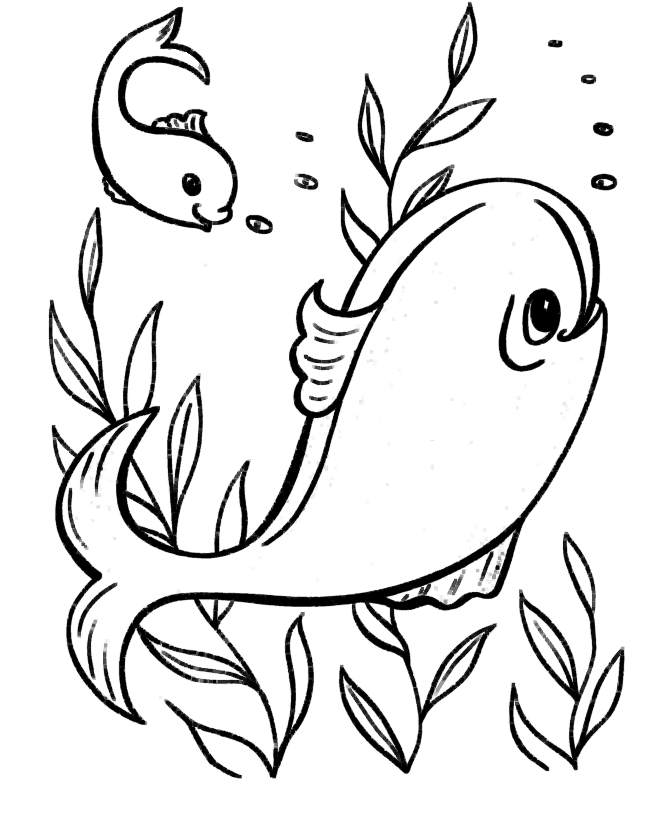 Coloriage Dauphin gracieux nageant avec ses amis - Facile à imprimer