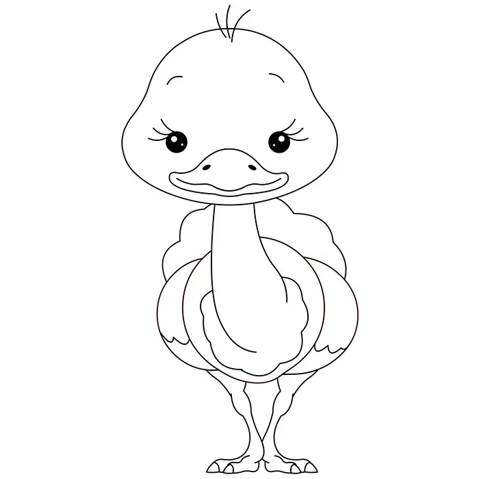 Coloriage De Bébé Autruche - Animaux à imprimer