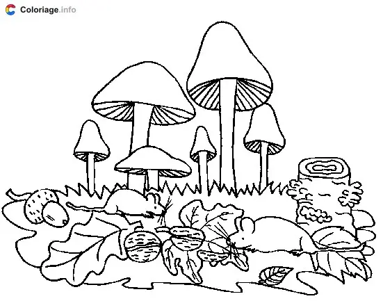 Des champignons de forêt coloring page to print