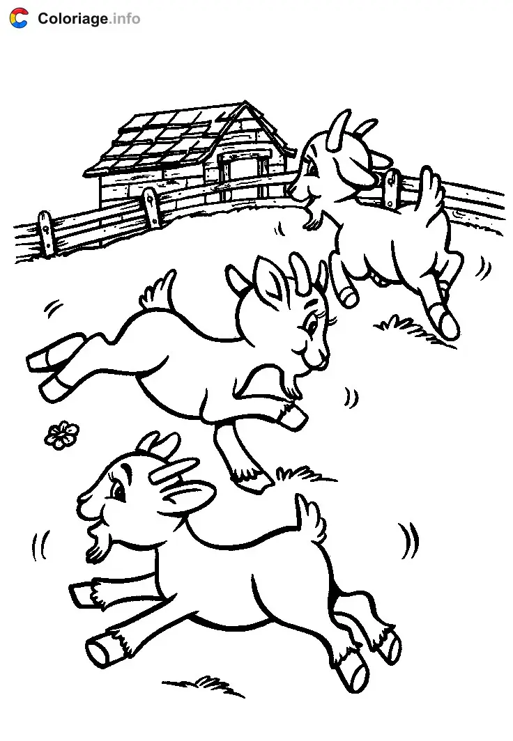 Coloriage Des chèvres dans un pré - Animaux de la ferme à imprimer