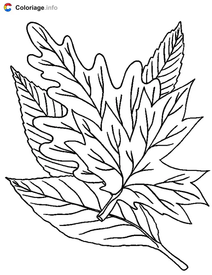 Coloriage Des feuilles tombées - Automne à imprimer