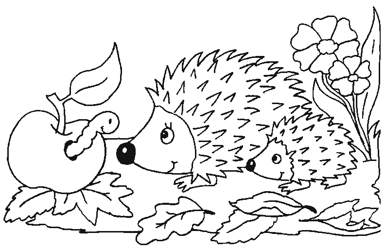 Coloriage Des Fleurs 2 Hérissons Et Une Pomme - Hérisson à imprimer