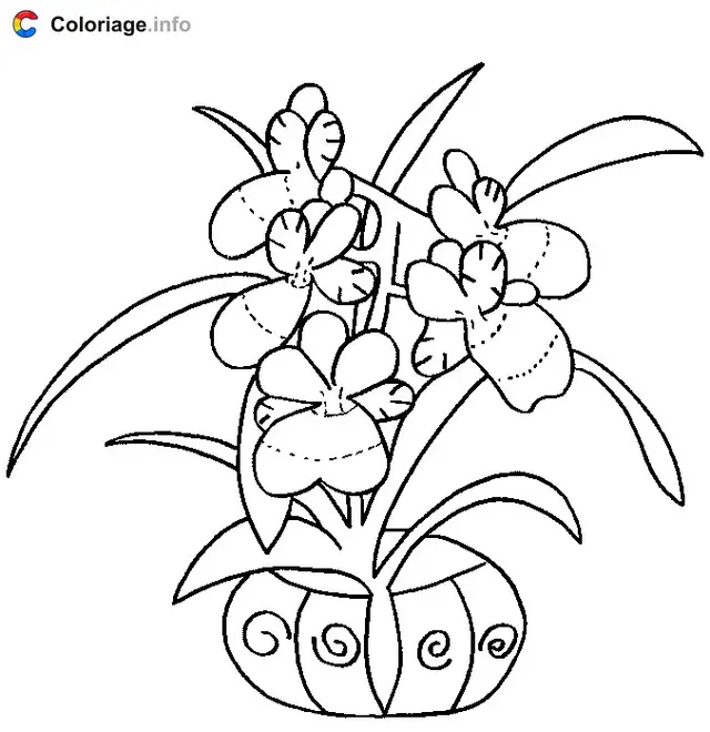 Coloriage Des orchidées dans un pot - Plantes à imprimer