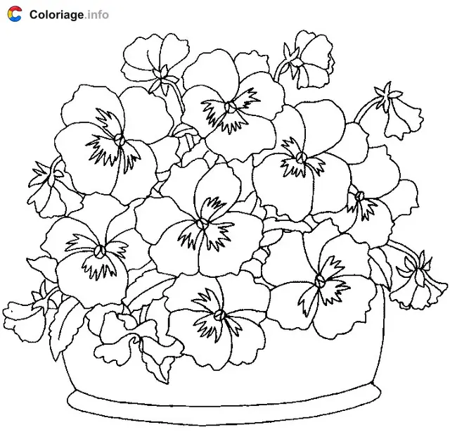 Coloriage Des pensées - Plantes à imprimer