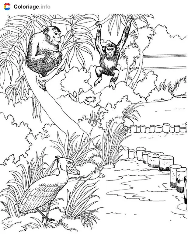 Monkeys at the Zoo coloring page to print