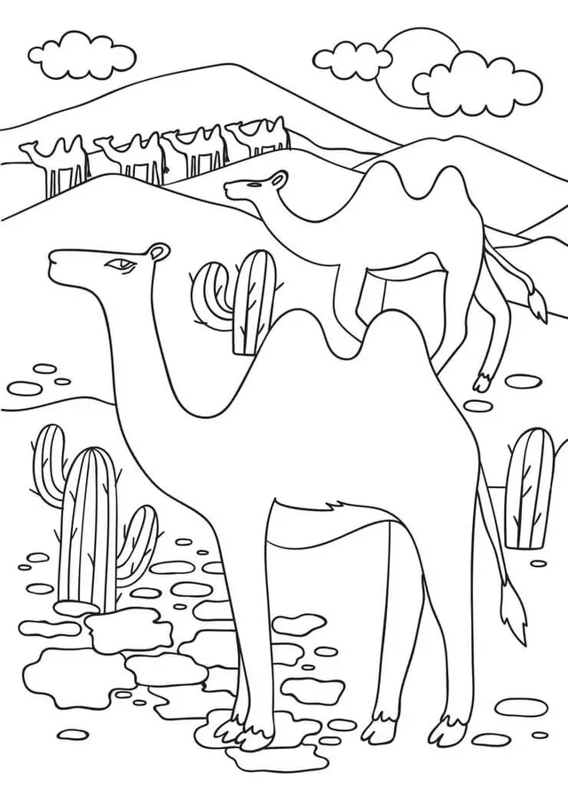 Coloriage Desert Arabique Oriental Égypte Chameau - Égypte à imprimer