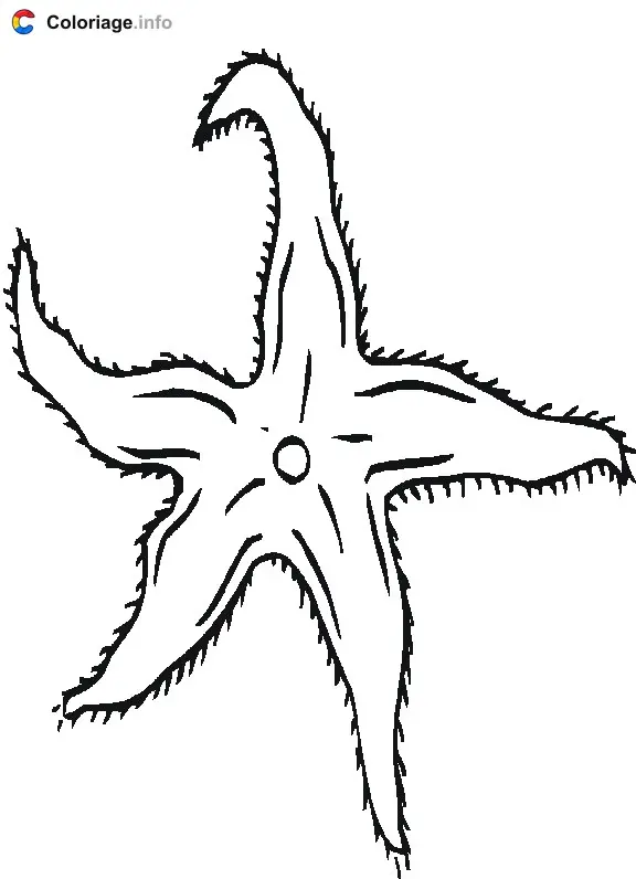 Starfish coloring page to print