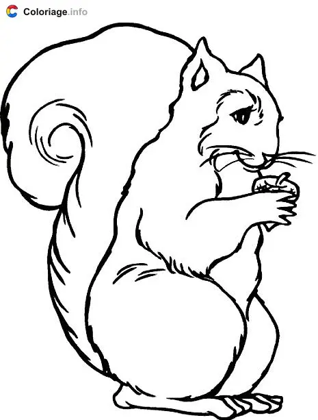 Squirrel Drawing coloring page to print