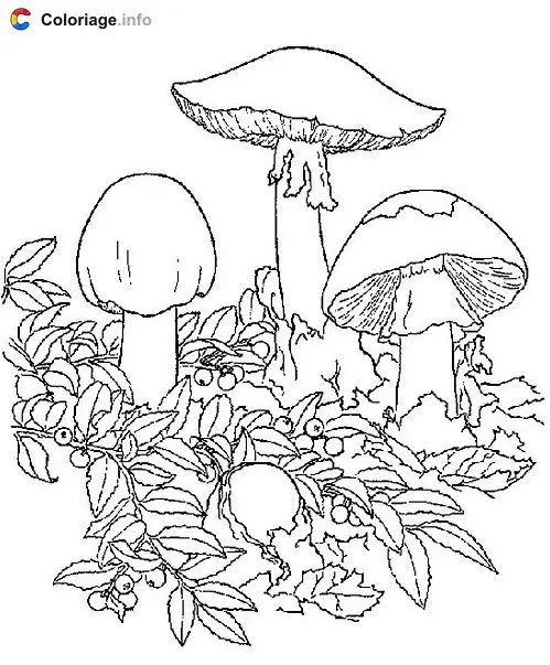 Coloriage Dessin de champignons - Automne à imprimer