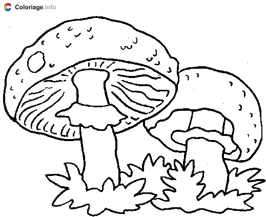 Dessin de deux champignons coloring page to print