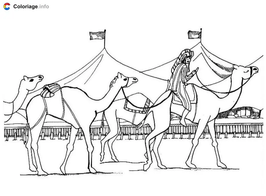 Dromedaries in the Desert coloring page to print