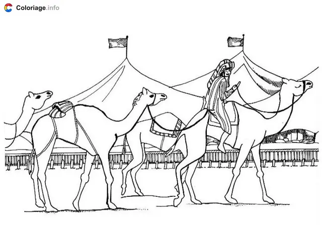 Coloriage Dessin de dromadaires - Égypte à imprimer