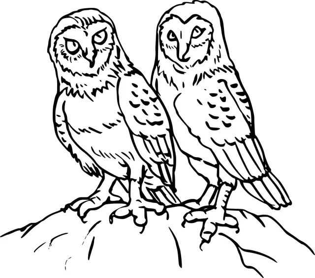 Disegno di Due Simpatici Animali da stampare