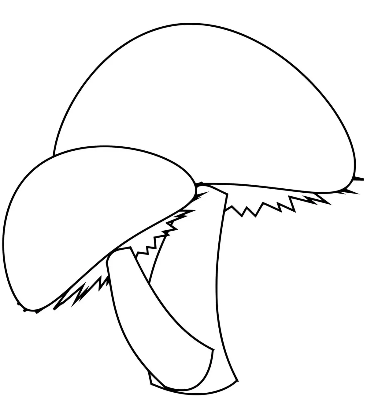 Kleurplaat Twee eenvoudige paddenstoelen om te printen