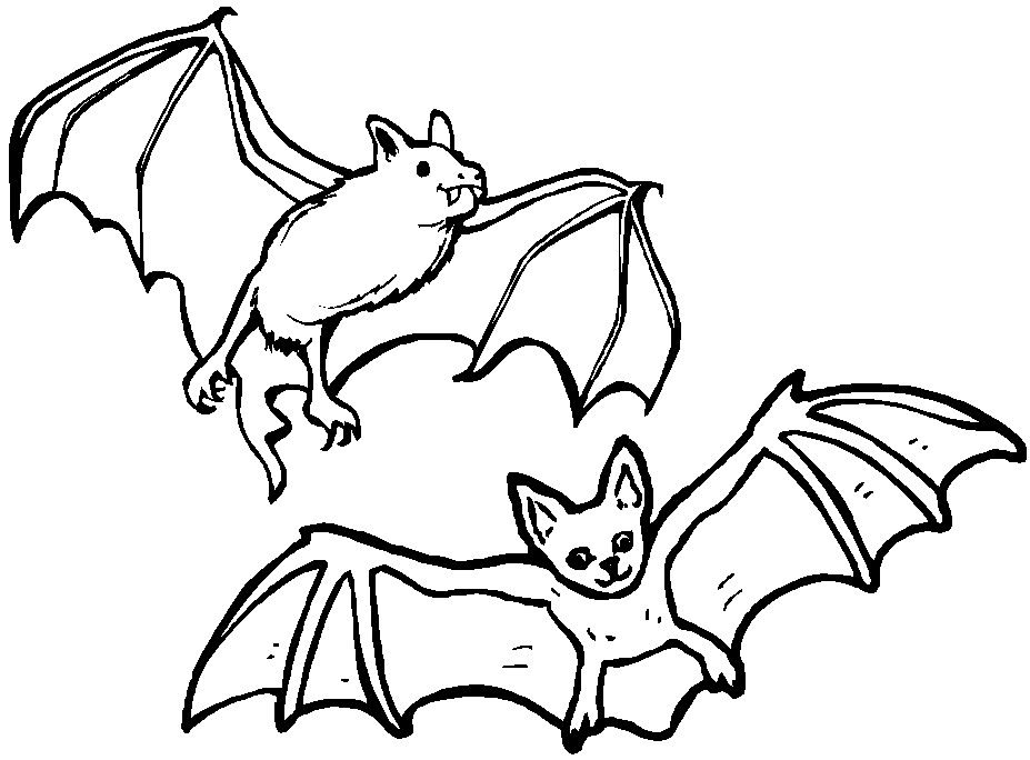Coloriage Deux Chauve Souris - Halloween chauve souris à imprimer