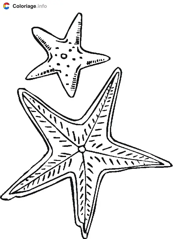 Two Starfish coloring page to print