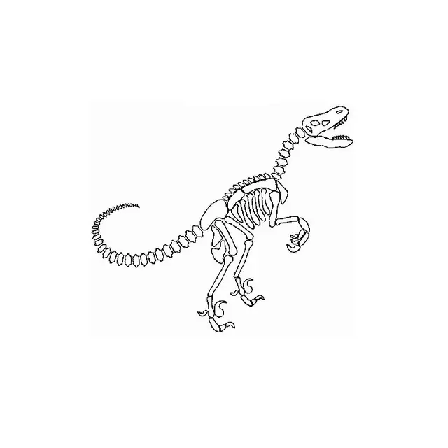 Coloriage Dinosaure Squelette - Squelette à imprimer