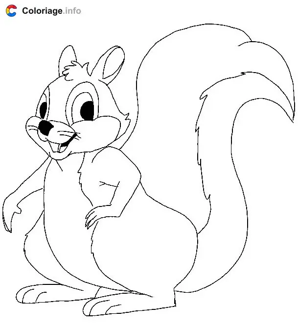 Squirrel with His Bushy Tail coloring page to print
