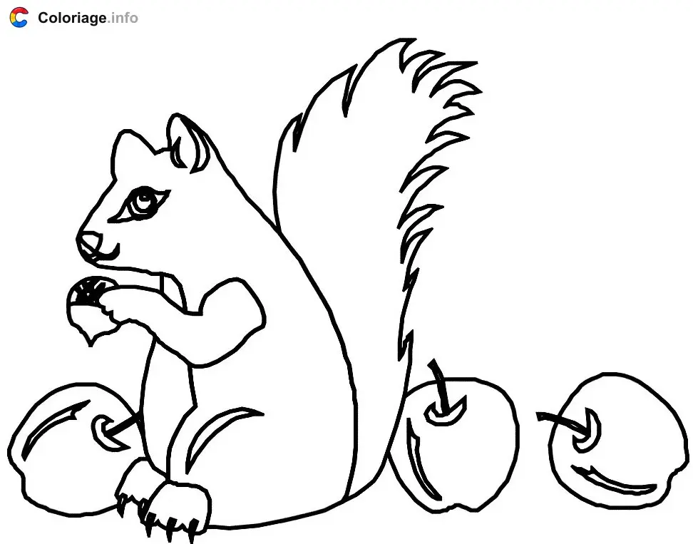Squirrel with Three Acorns coloring page to print