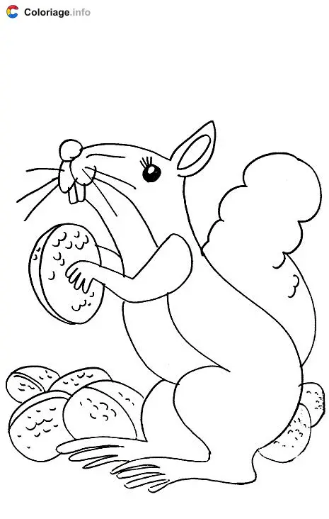 Squirrel Gathering Nuts coloring page to print