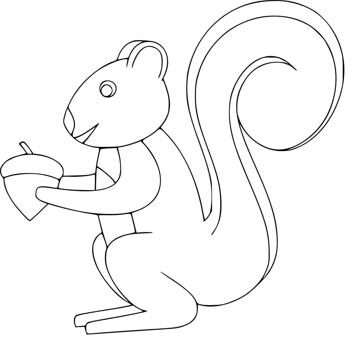 American Red Squirrel coloring page to print