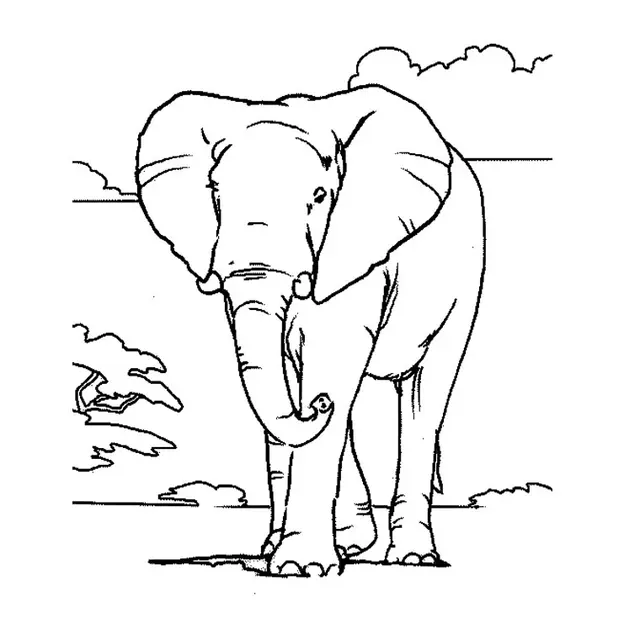 Coloriage Éléphant D'Afrique - Éléphant à imprimer