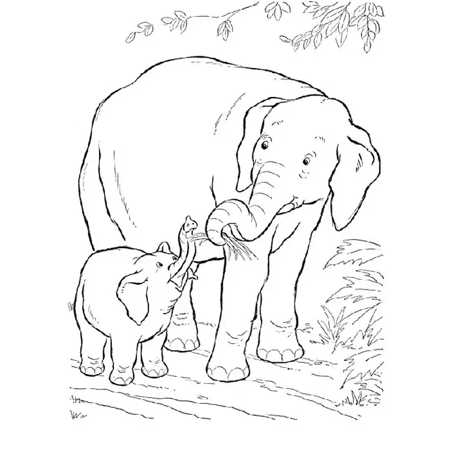 Coloriage Éléphant Savane - Éléphant à imprimer